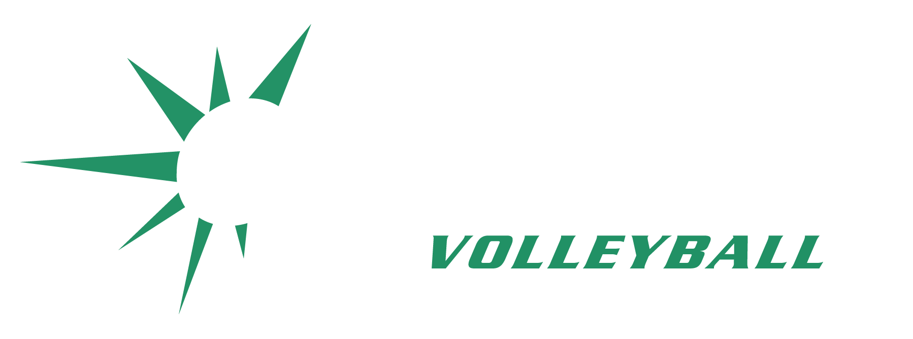 Catalyst Volleyball-01 white letters